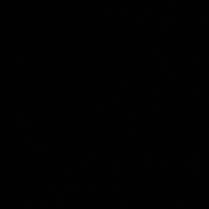 Meet your Posher, Alysha